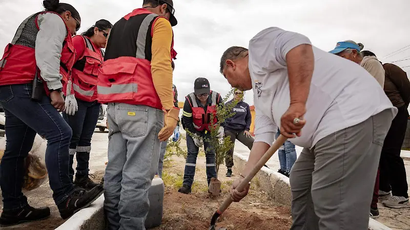 Reforestación en Mazapil apuesta por la biodiversidad